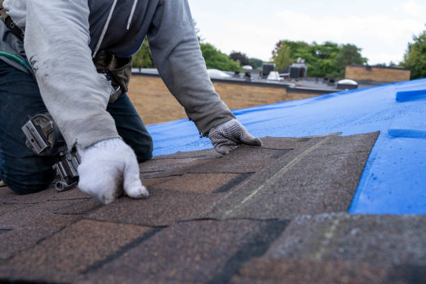 Best Local Roofing Companies  in White Oak, OH